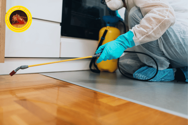 bed bug pest control service near me (1)